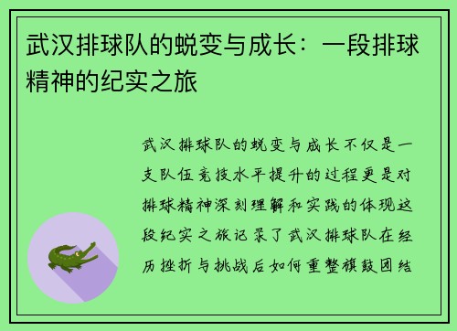 武汉排球队的蜕变与成长：一段排球精神的纪实之旅